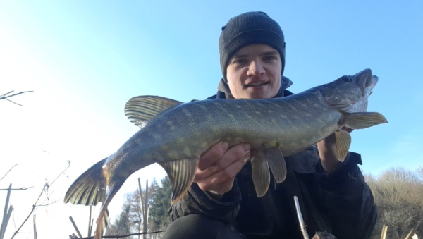 Geddefiskeri – grej og tips til at fange søens rovfisk