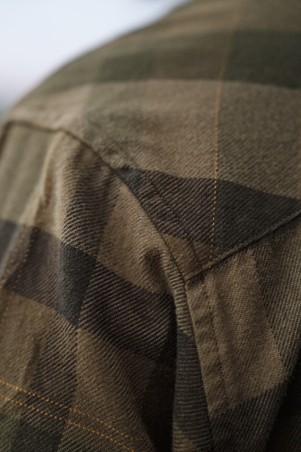 Asmund L/S skjorte Beech green check