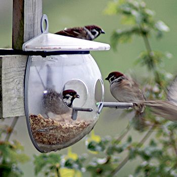 Ryom Fuglefoderhus Lux plast