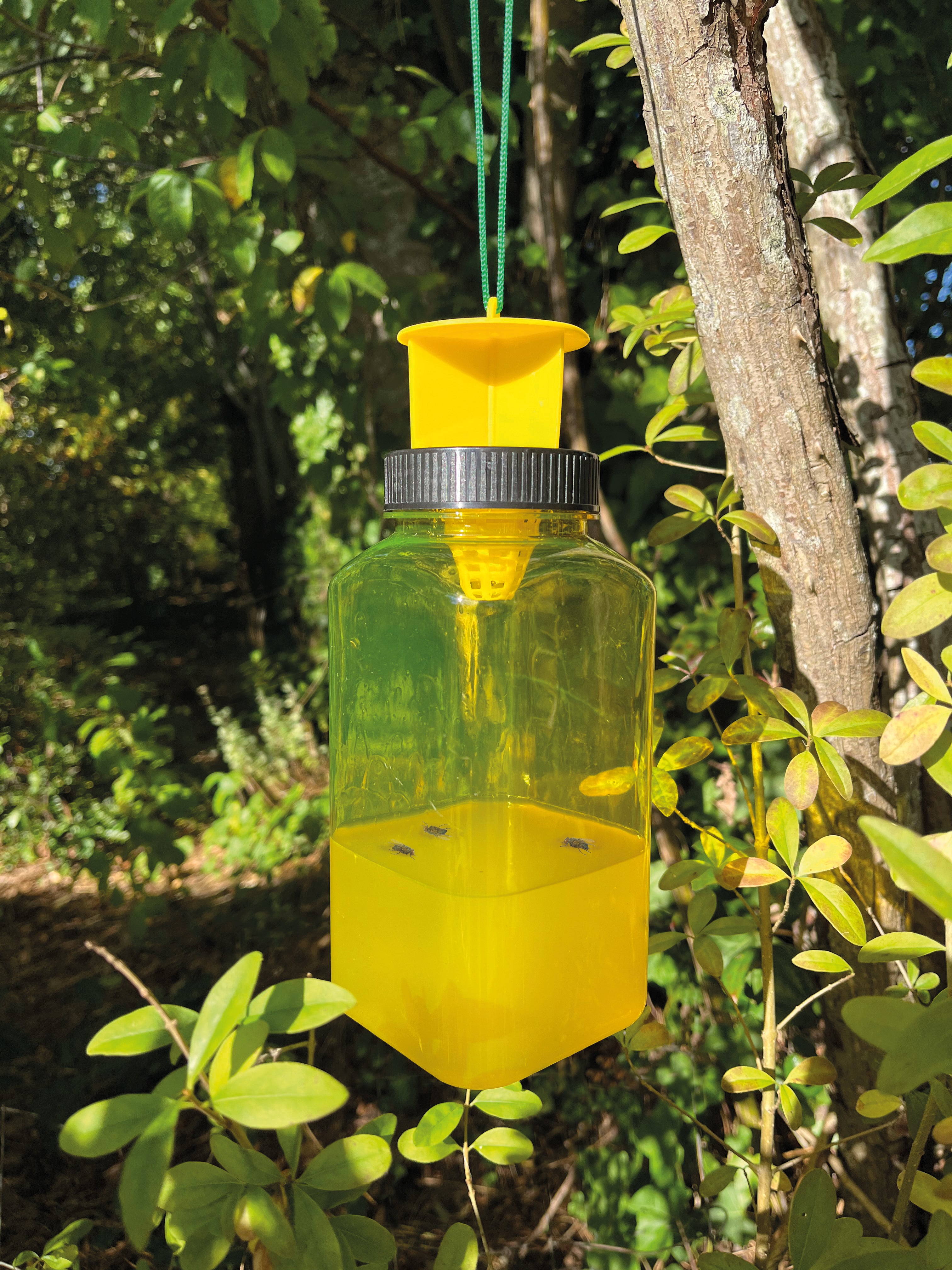 Ryom Flue og Hvepsefælde 2 X 1 ltr.