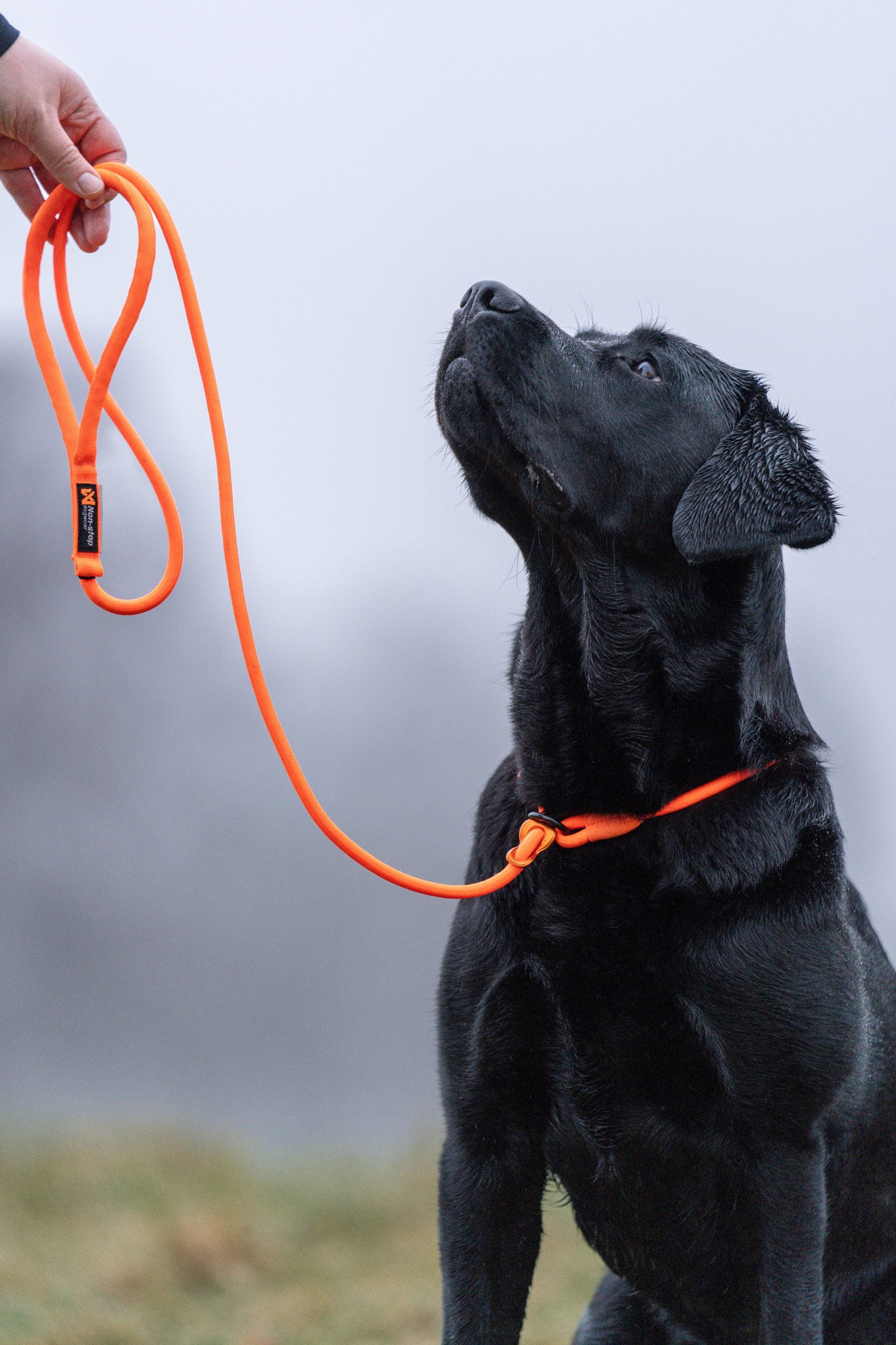 Non-Stop Retriever leash Black 1.6m/8mm