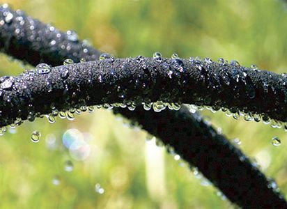 Ryom Siveslange Sort 1/2" 15 m.