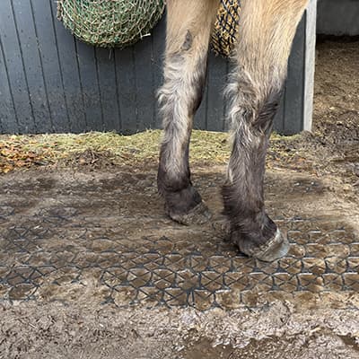 Ryom Græs & Jord Armeringsnet 57.5 x 38 cm