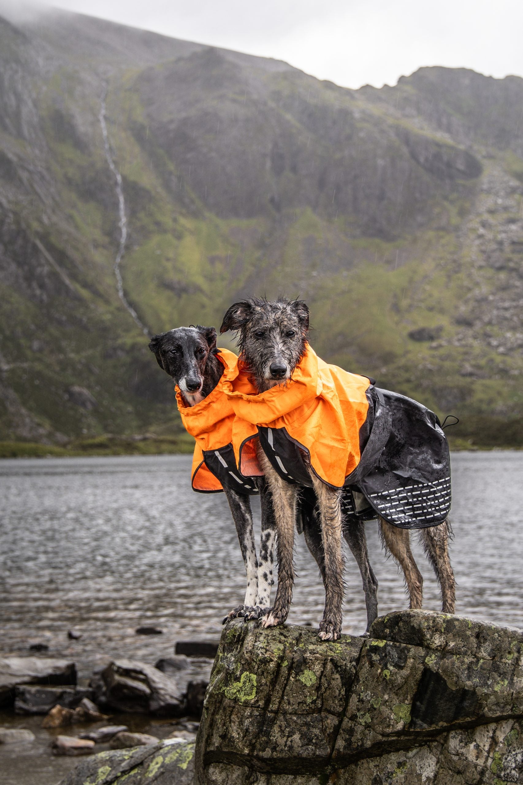 Non-Stop Fjord raincoat black/orange