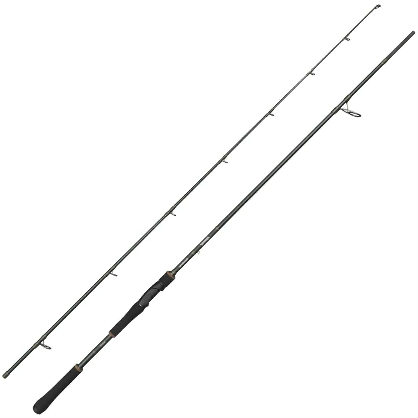 Abu Garcia Beast X2 Spin