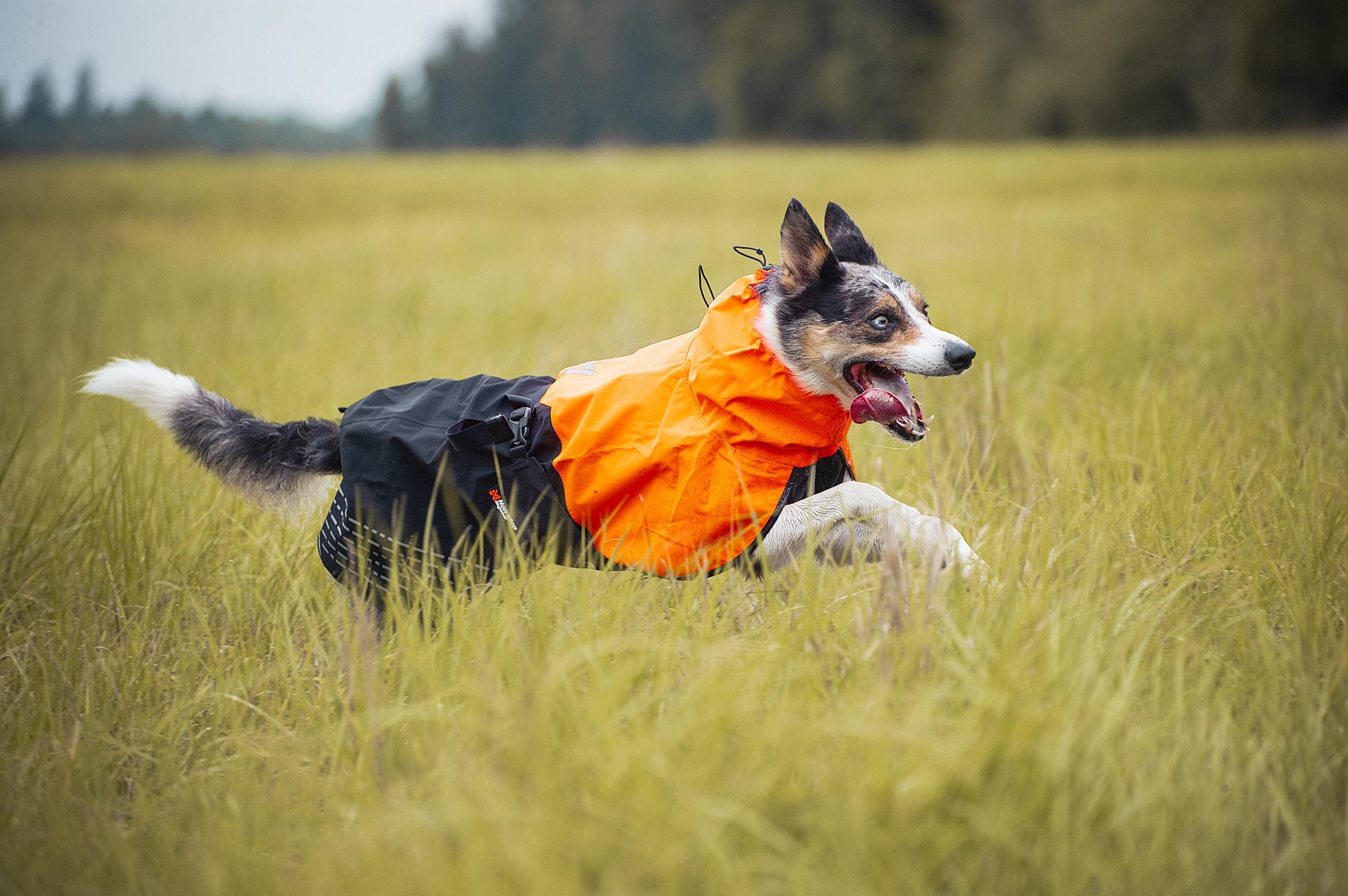 Non-Stop Fjord raincoat black/orange