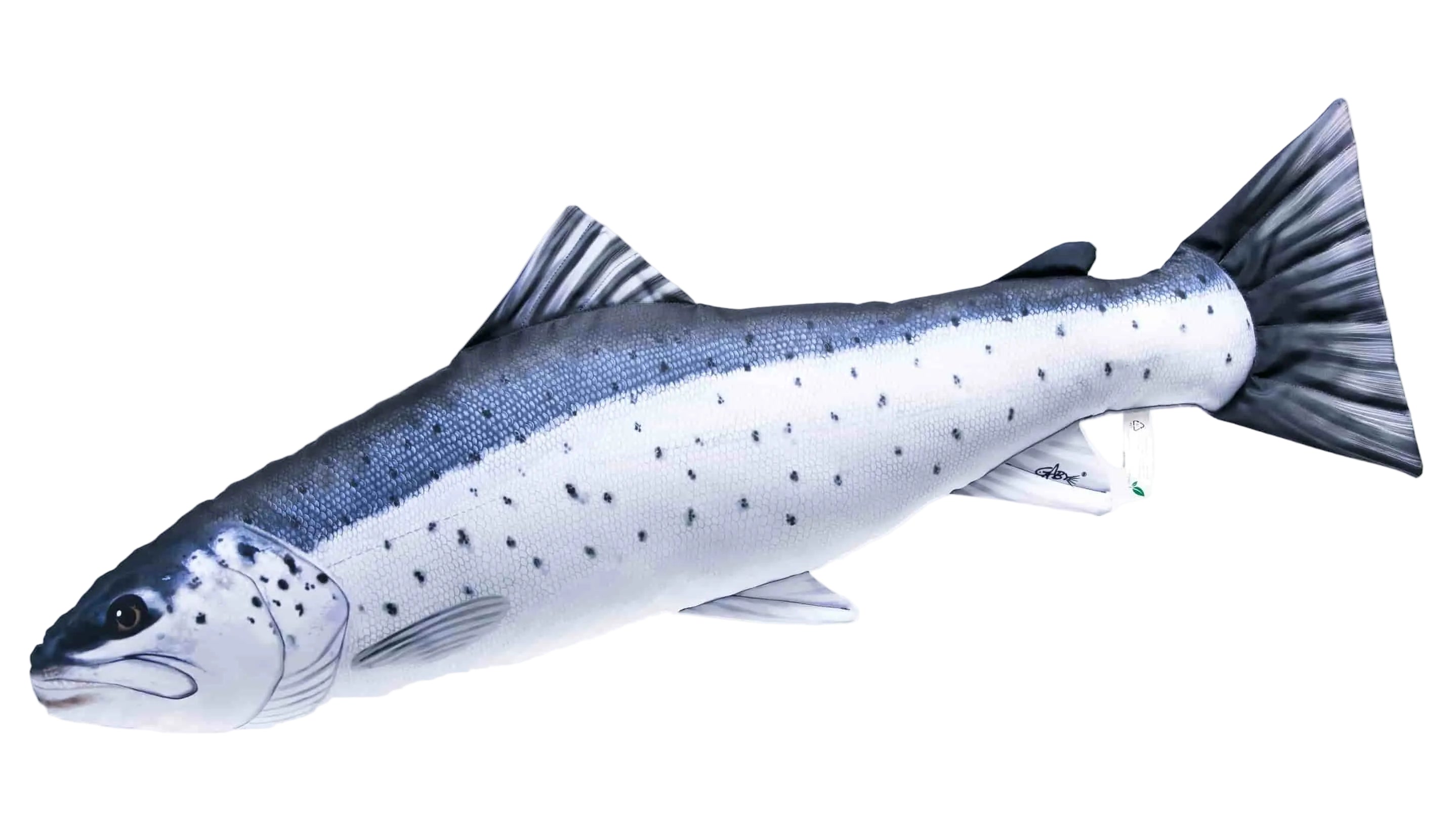 Gaby Gigant Havørrede