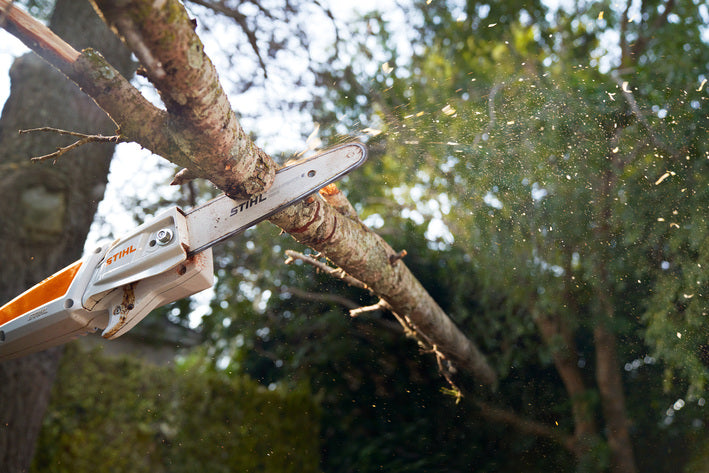 Stihl HTA 50 Stangsav Komplet