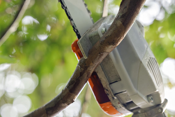 Stihl HTA 86 Stangsav solo maskine
