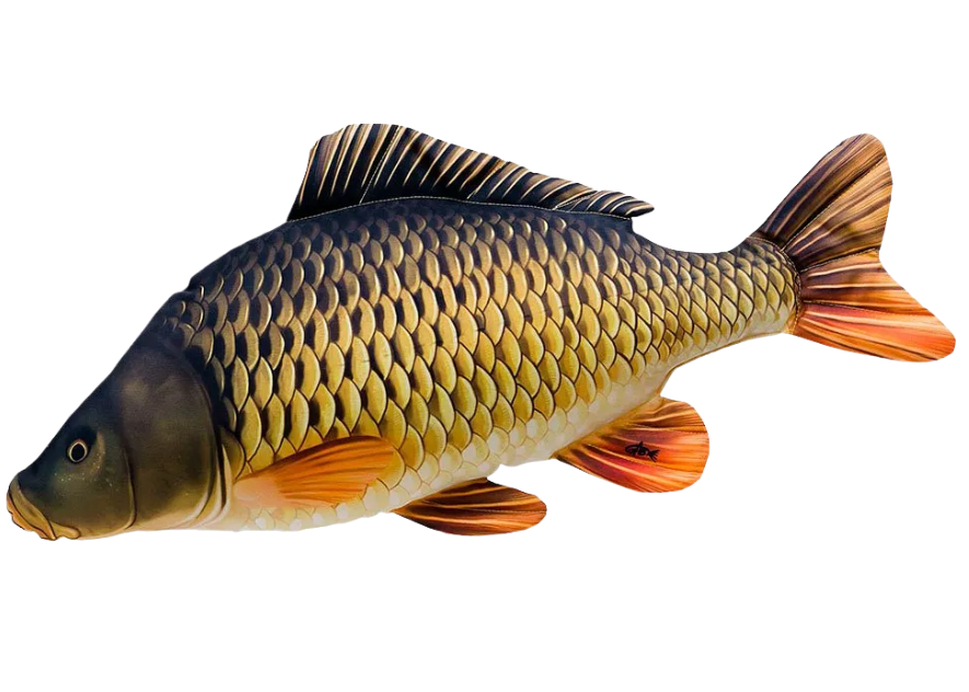 Skælkarpe Fiskepude