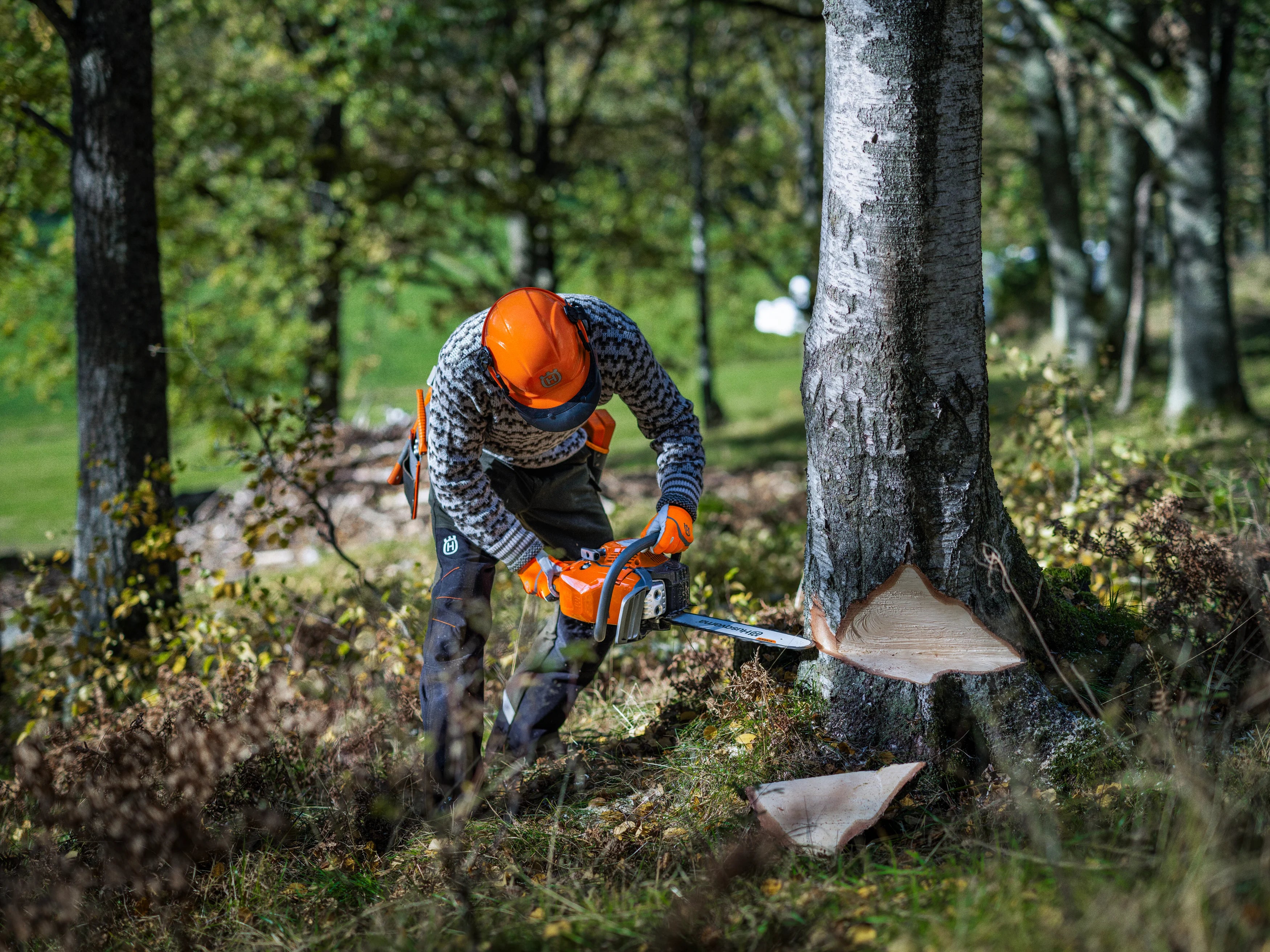 Husqvarna 450S Motorsav