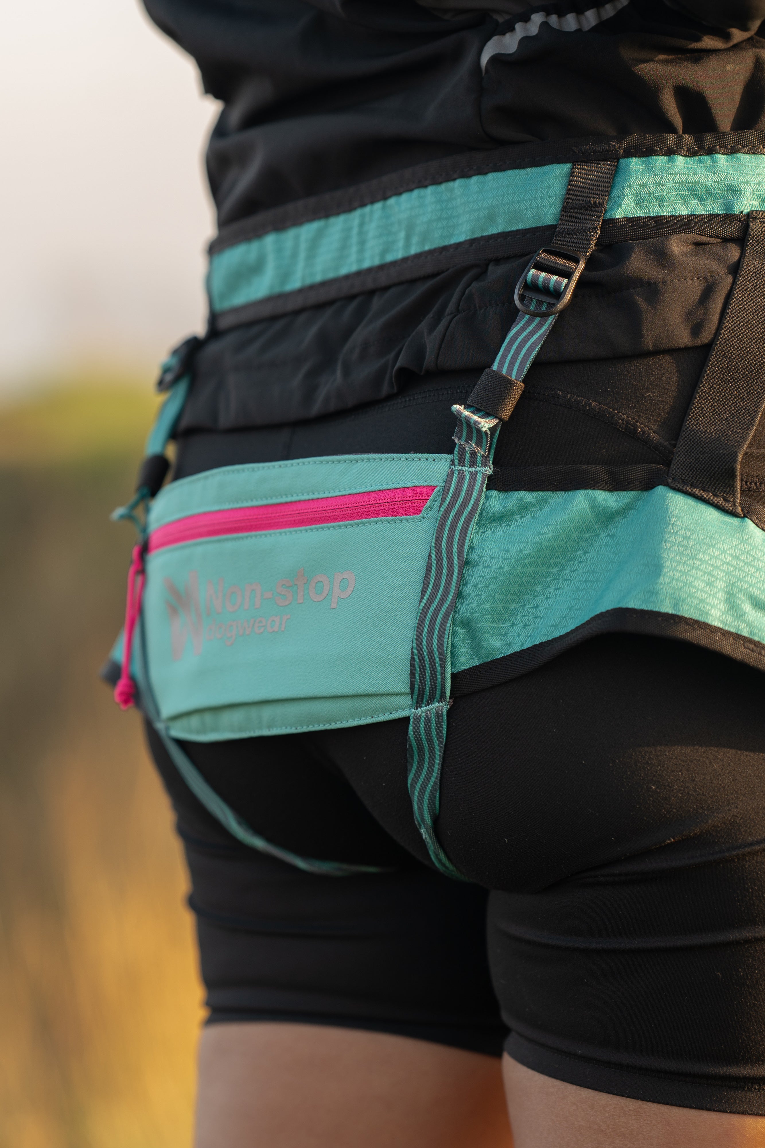 CaniX belt 2.0 Aqua/pink
