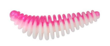 Powerbait Power Pupa