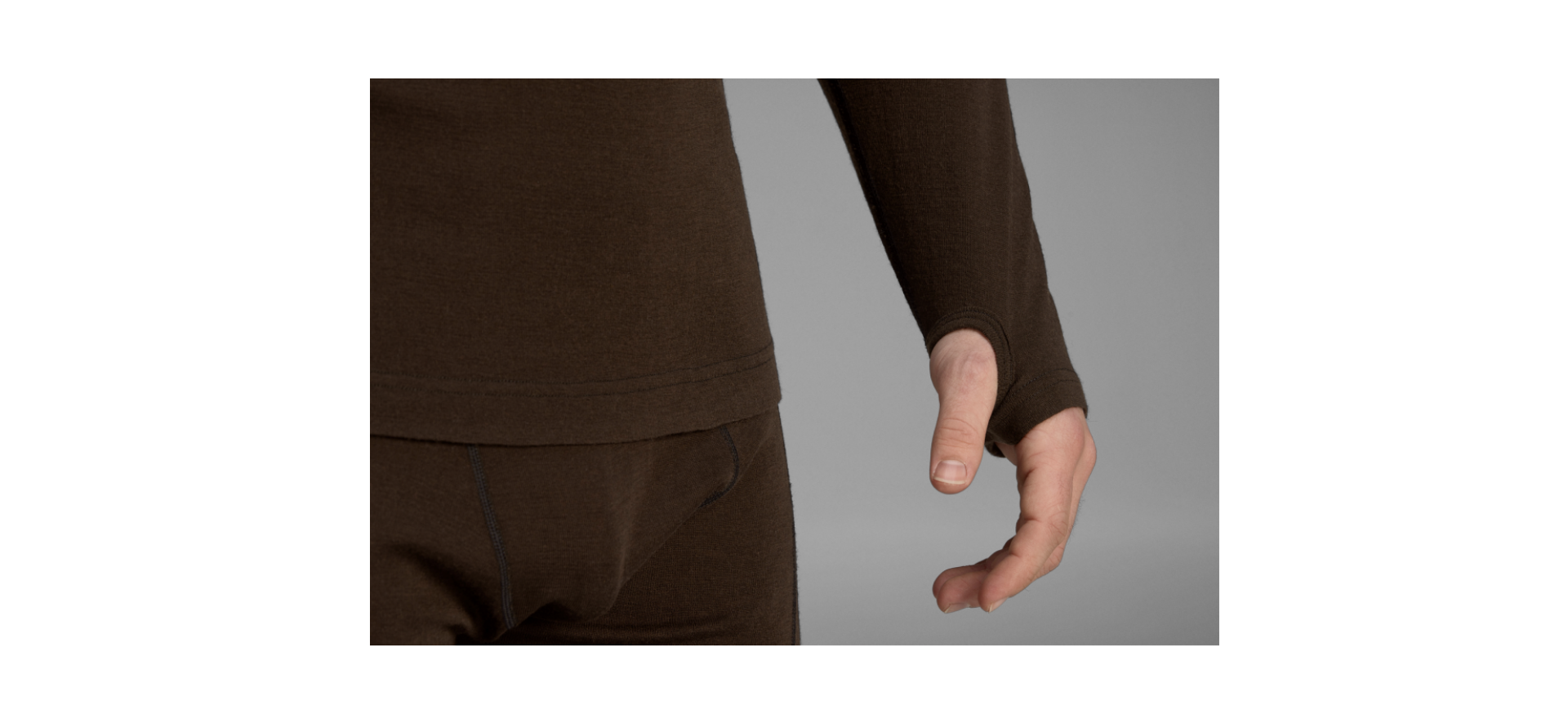 Seeland Climate Base Layer