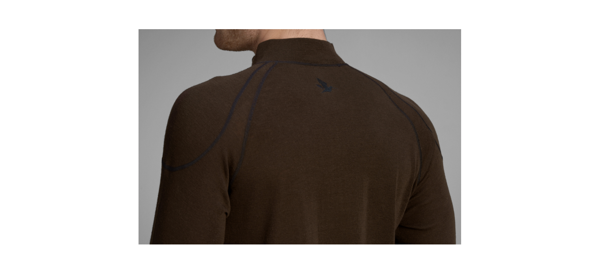 Seeland Climate Base Layer