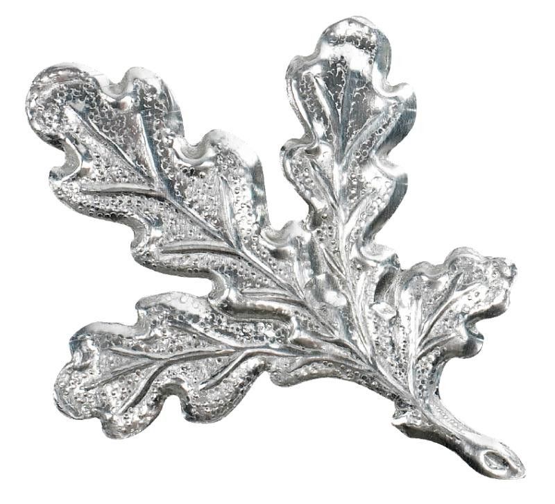 Egeløv Til Vildsvin