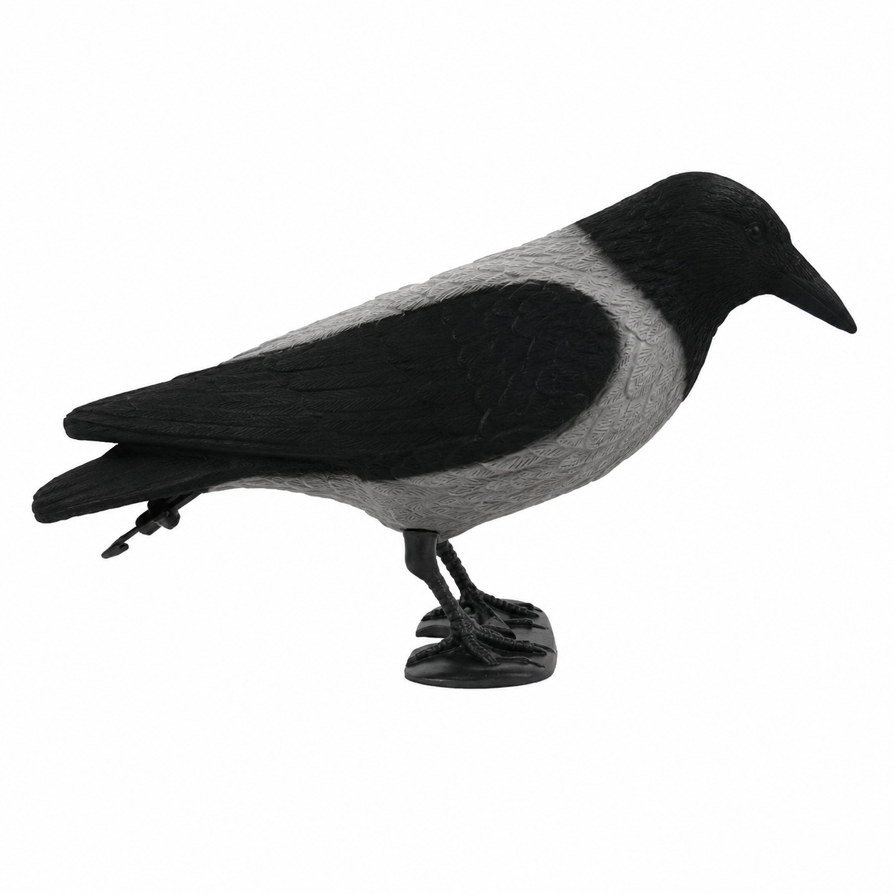 Lokkekrage Med Flock