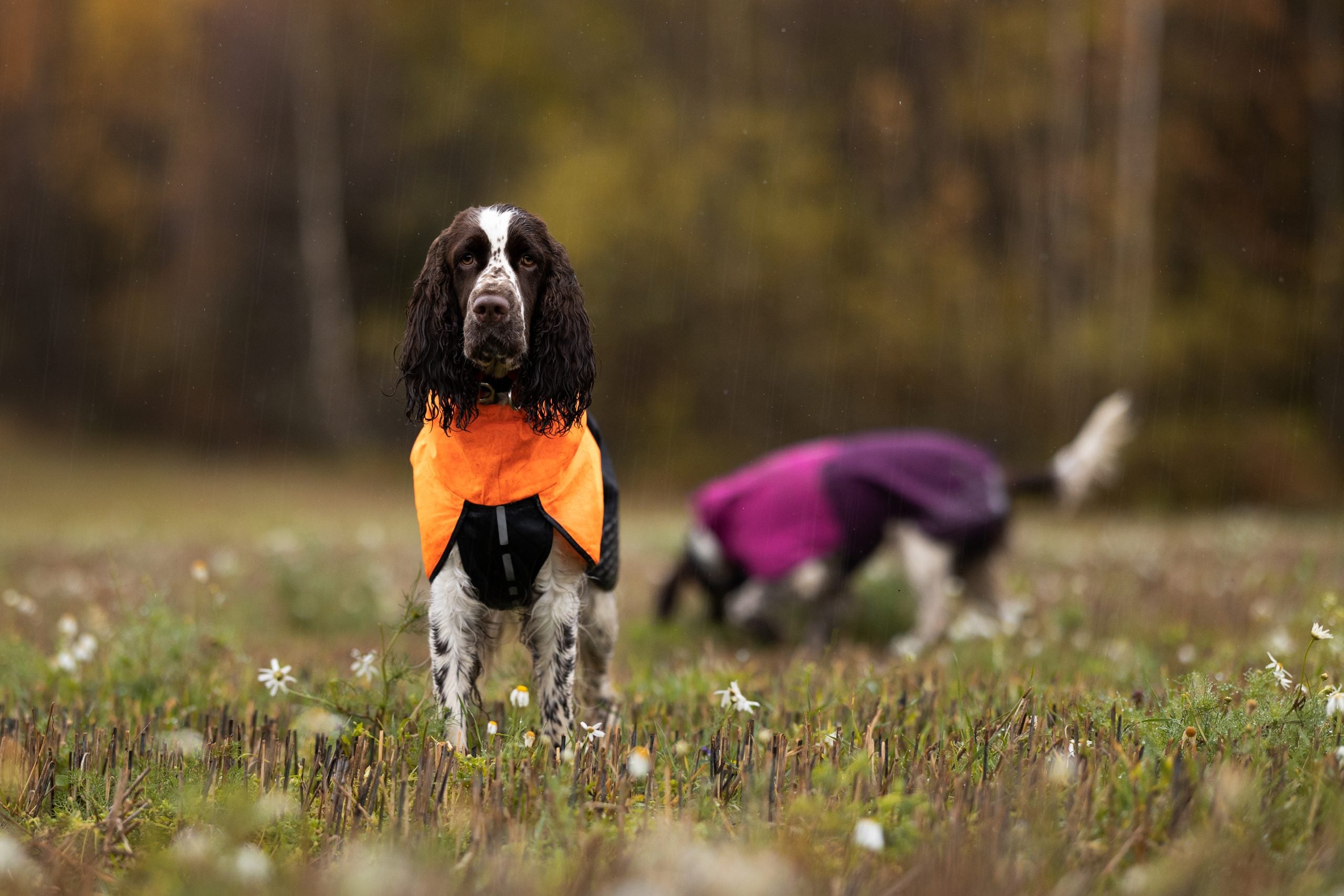 Non-Stop Fjord raincoat black/orange