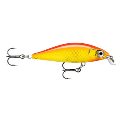 Rapala X-Light Minnow 05