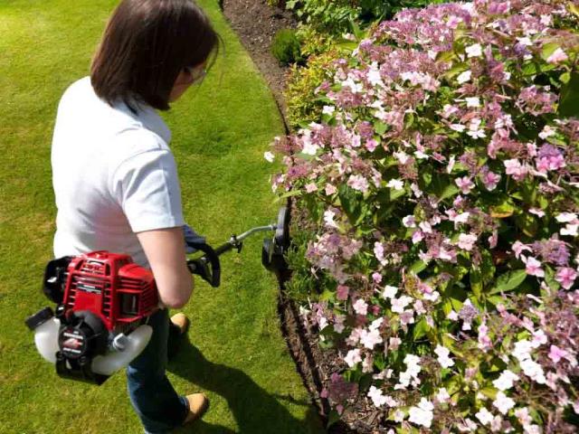 Honda Kombitool Kantskærer