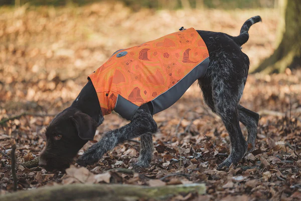 Hurtta Worker Vest Neon Combo