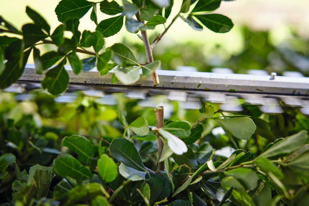 Stihl HSA 40 Hækkeklipper sæt