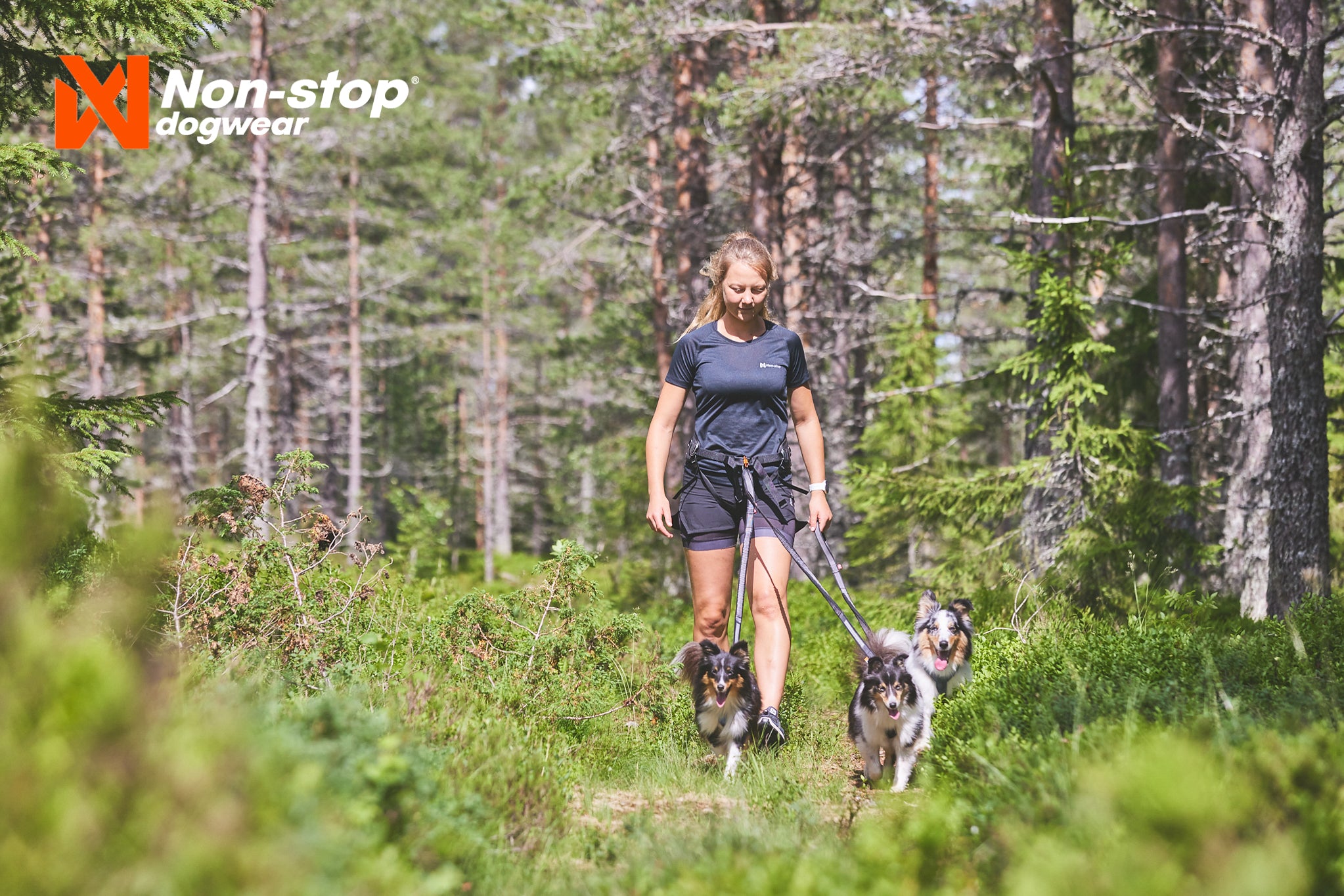 Non-Stop Line harness 5.0 black