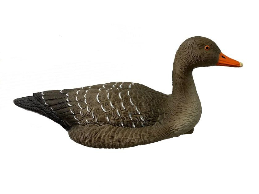 Flydende grågås til jagt
