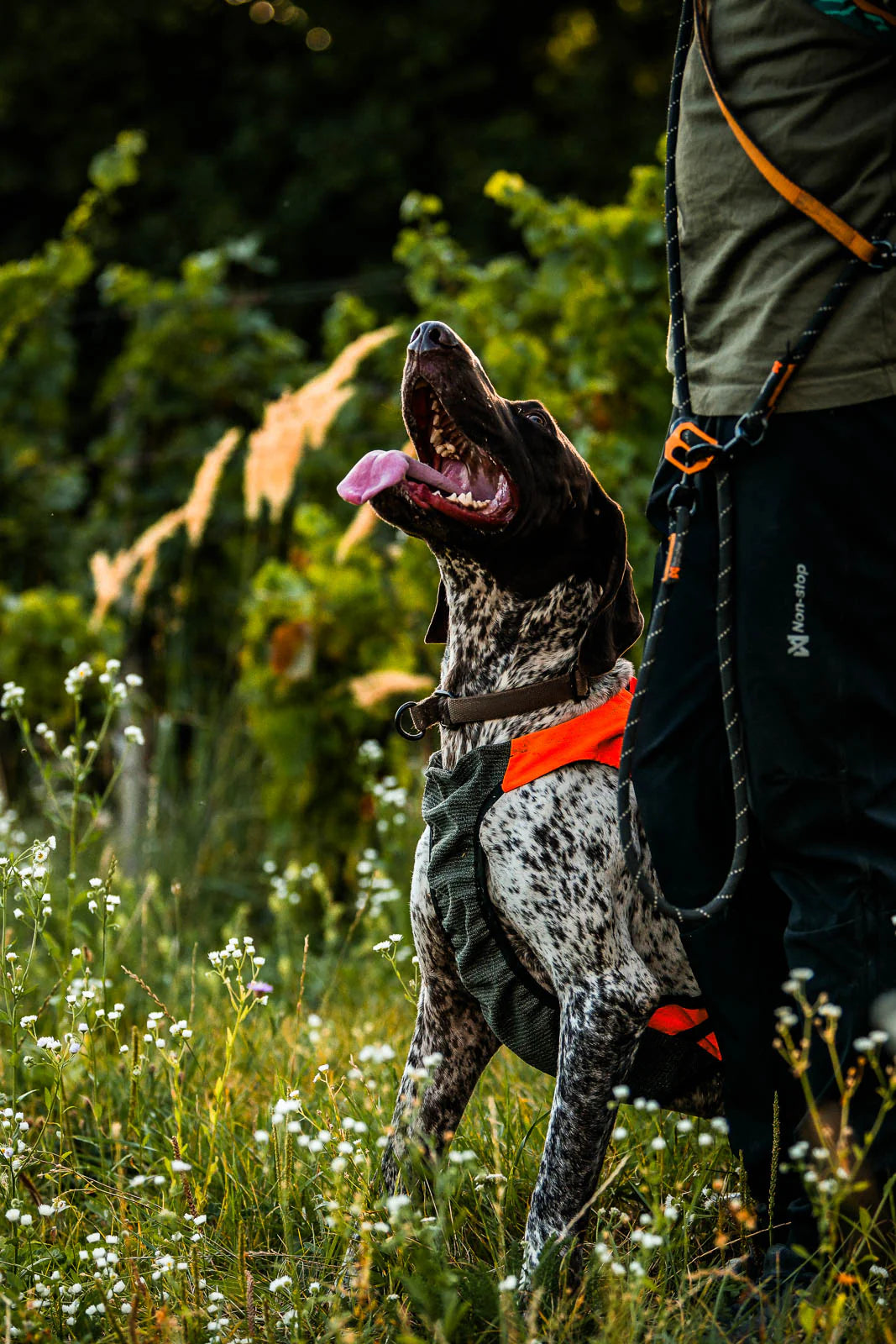 Protector vest GPS 2.0