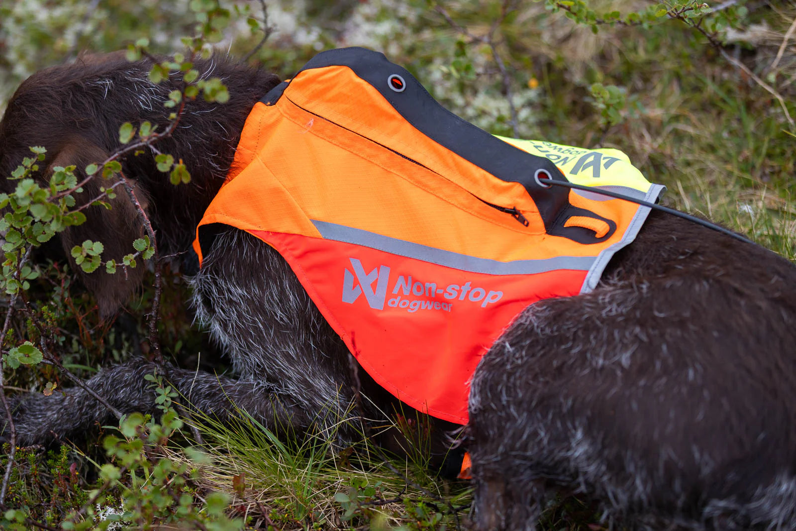 Protector vest GPS 2.0