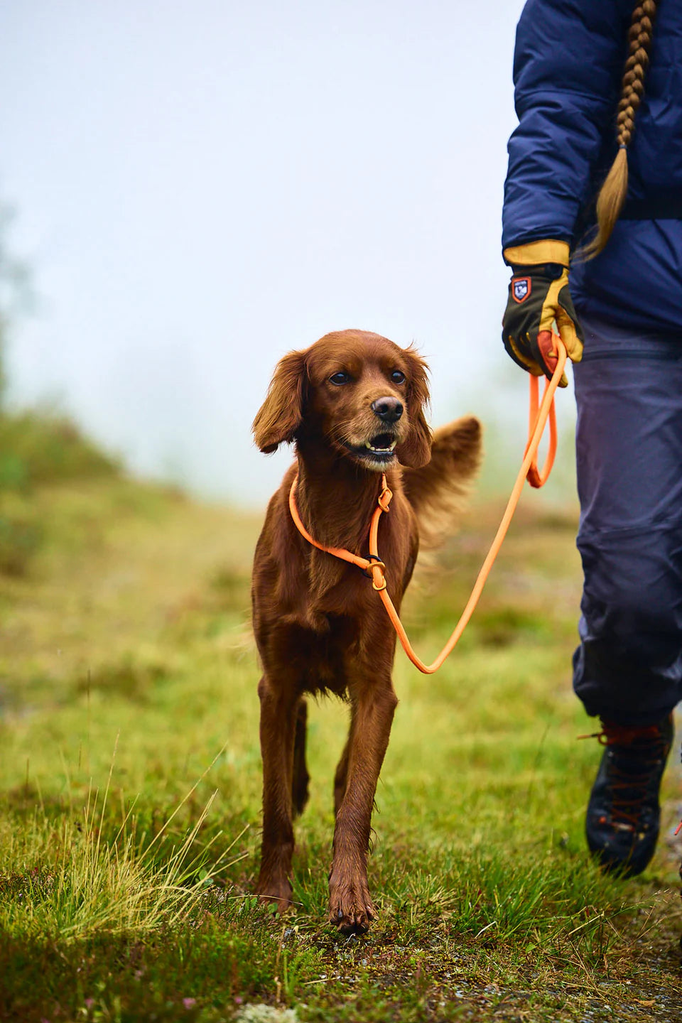 Non-stop Dogwear Retriever leash, orange, 1.6m/6mm