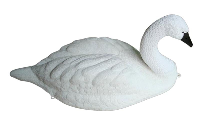 Lokkesvane flydende