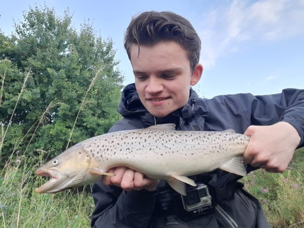 Havørredfiskeri i åen – sådan får du succes med åfiskeri