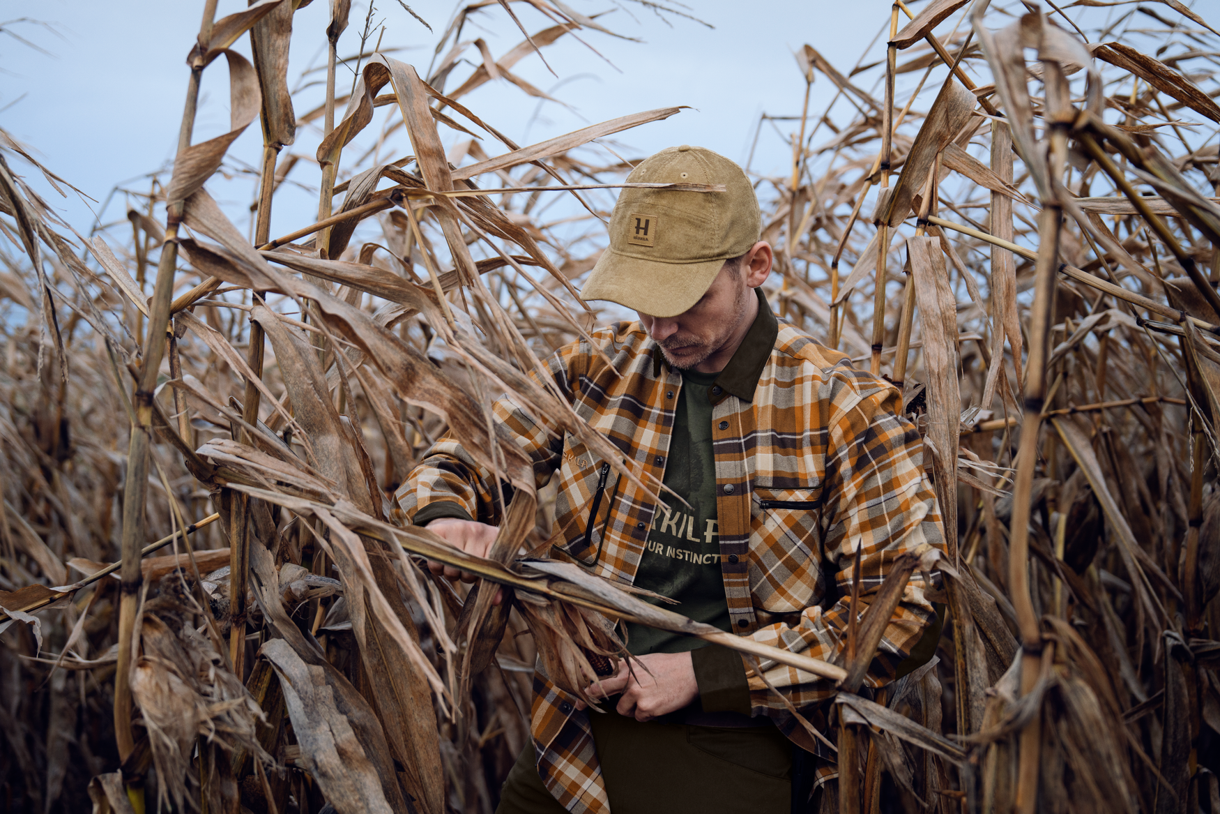 Pajala skjorte Cornstalk check