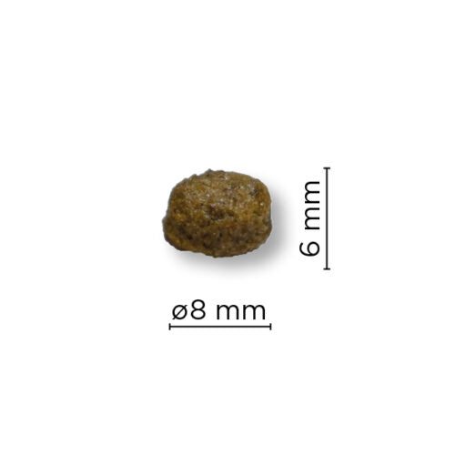 ARION ORIGINAL GROWTH FISH MEDIUM 12 KG