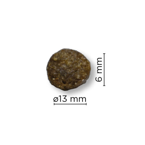 ARION ORIGINAL GROWTH FISH LARGE 12 KG