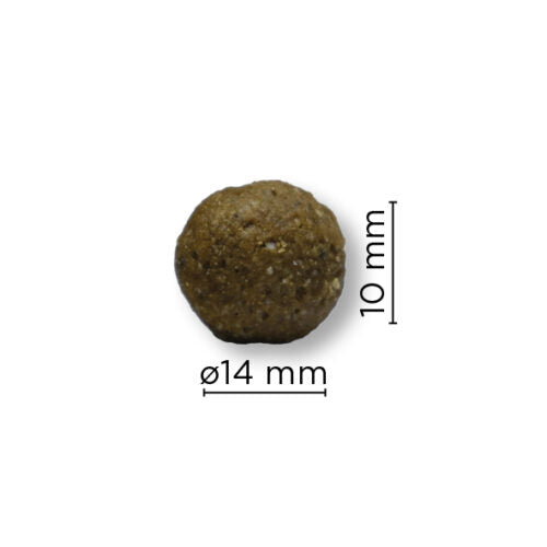 Arion Original Skin & Coat M 12 kg Laks & Ris