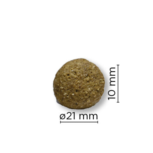 Arion Orininal Skin & Coat L 12 kg Laks & Ris