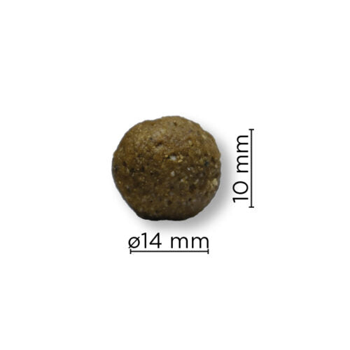 ARION Original Sensitive Medium