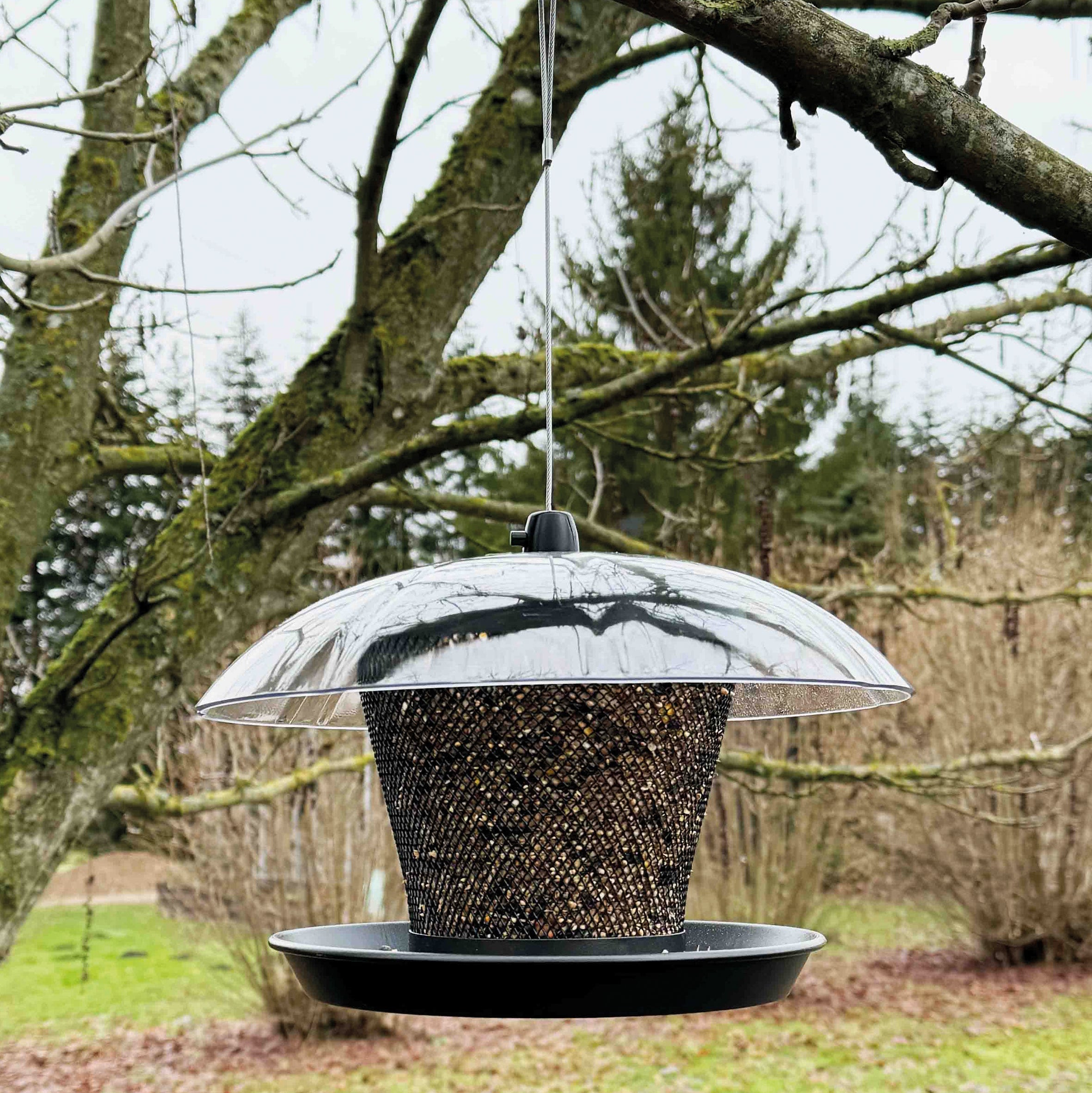 Ryom Foderautomat til Frøblanding DOME