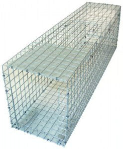 Ryom Mårfælde 77 cm