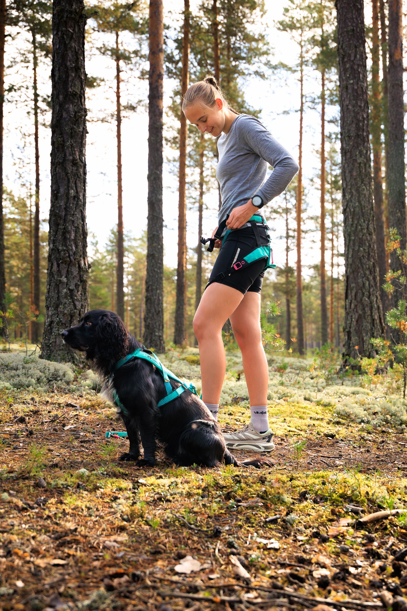 CaniX belt 2.0 Aqua/pink