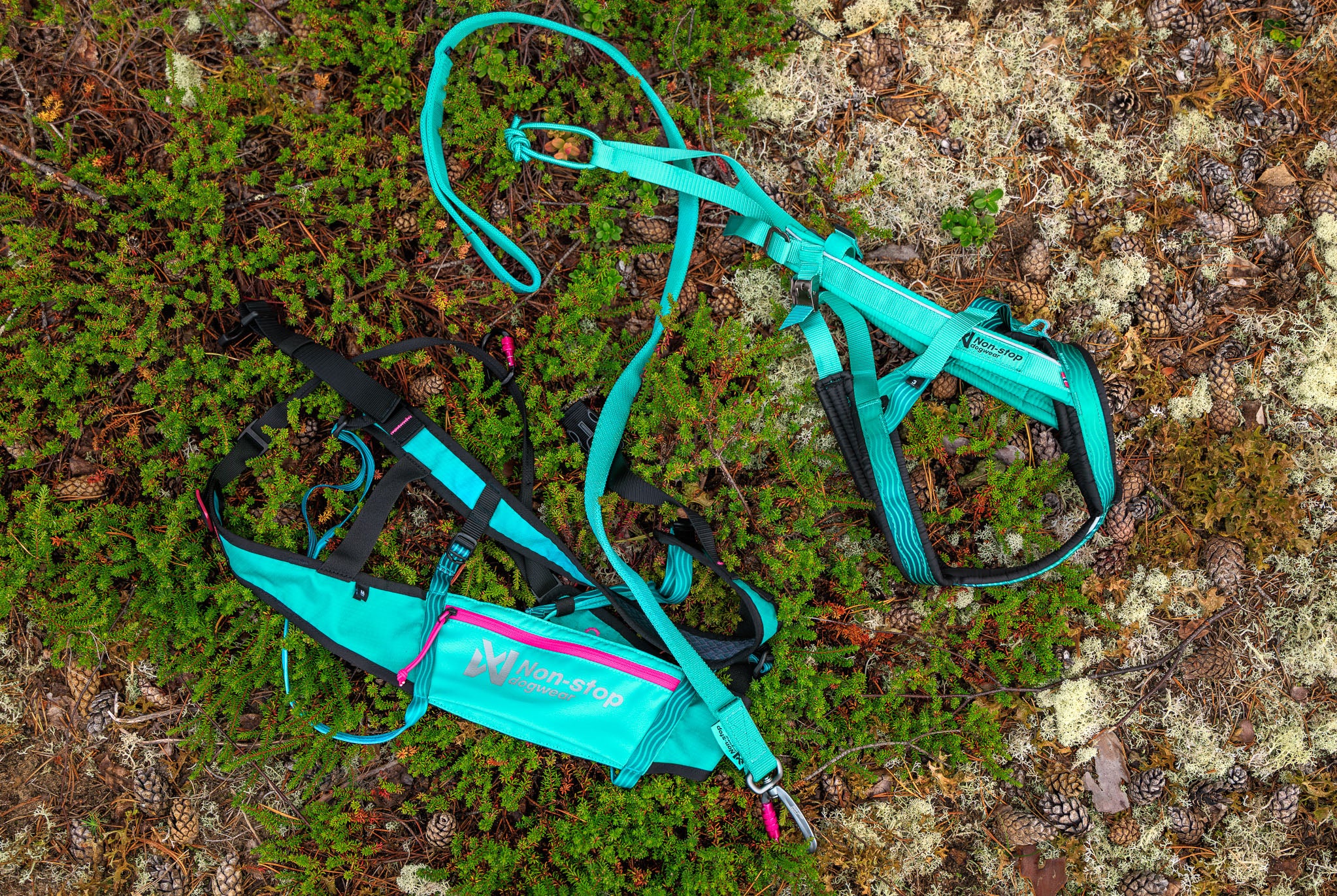 CaniX belt 2.0 Aqua/pink
