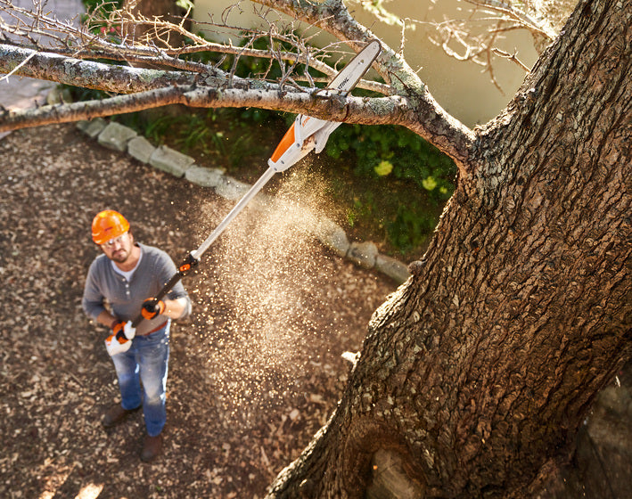 Stihl HTA 50 Stangsav Komplet