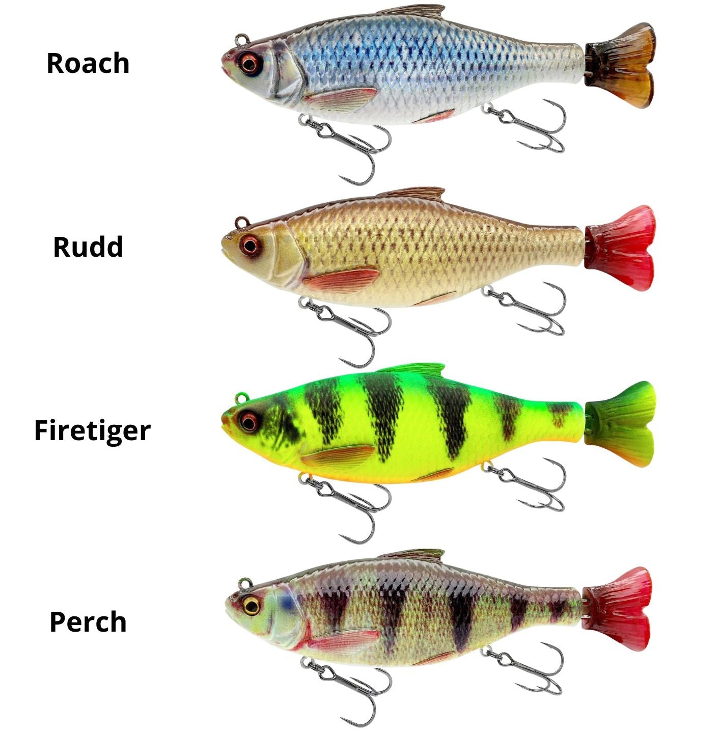 3D Hard Pulsetail Roach