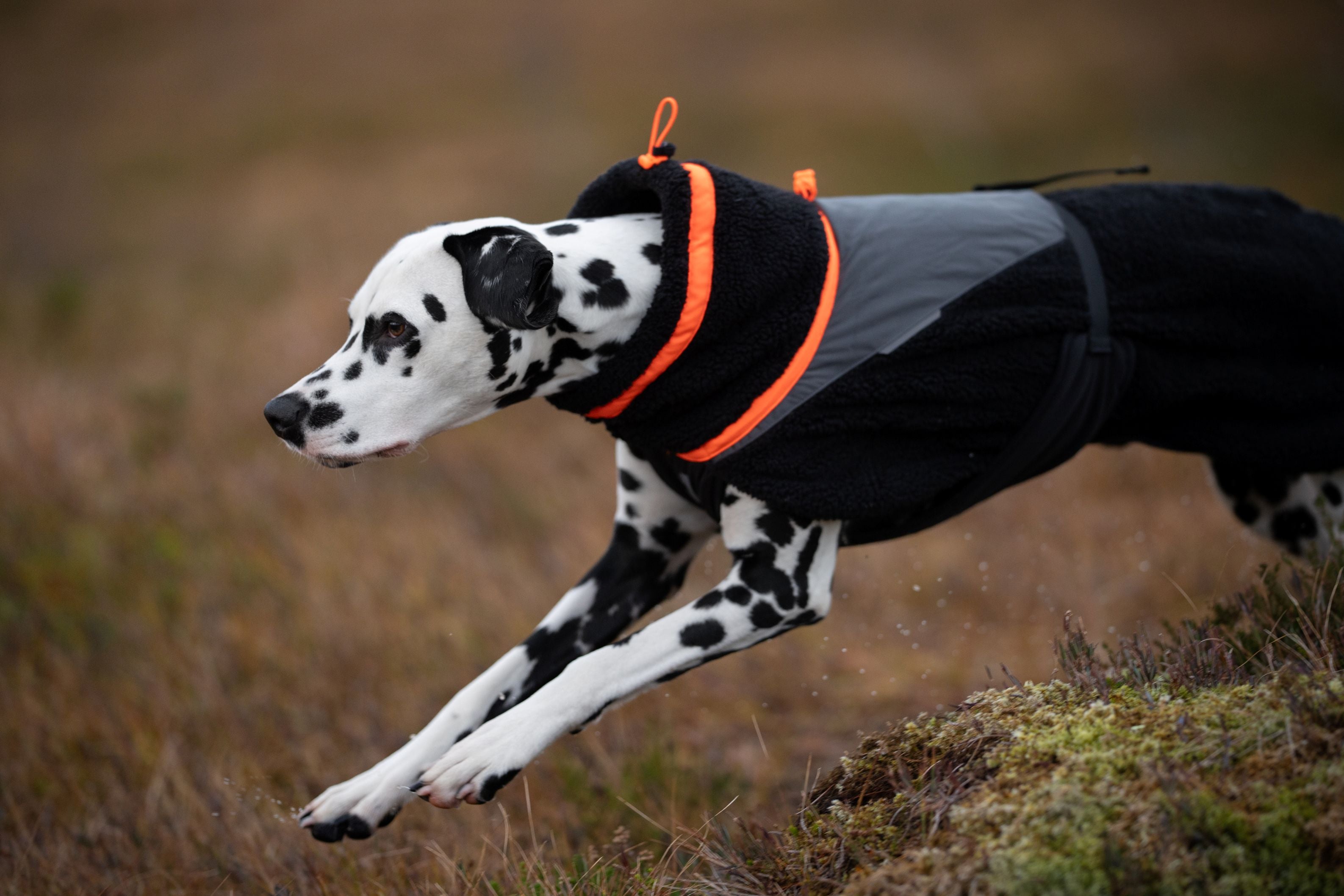 Trekking fleece jacket, black/orange