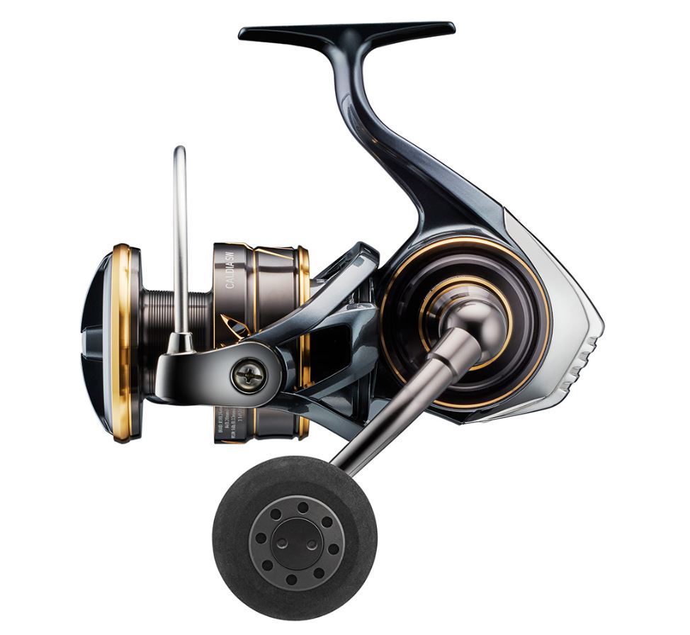 Daiwa Calida SW
