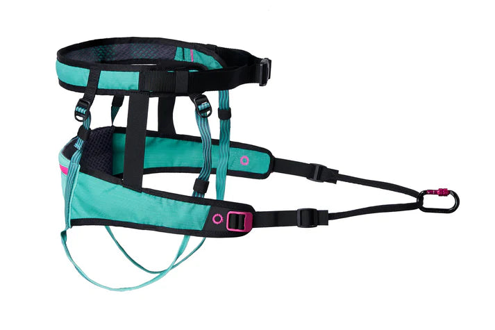 CaniX belt 2.0 Aqua/pink