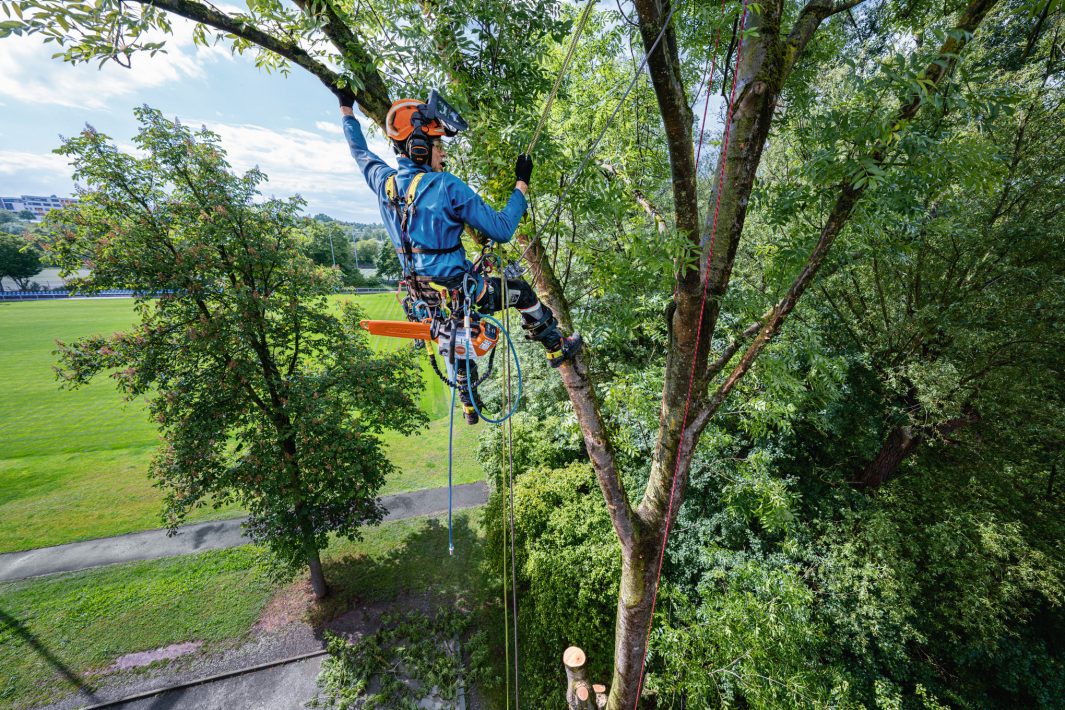 Stihl MSA 240.0 TC-O Kædesav