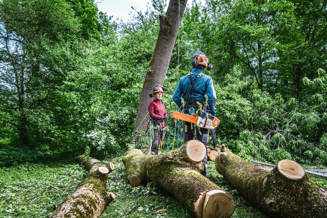 Stihl MSA 240.0 TC-O Kædesav